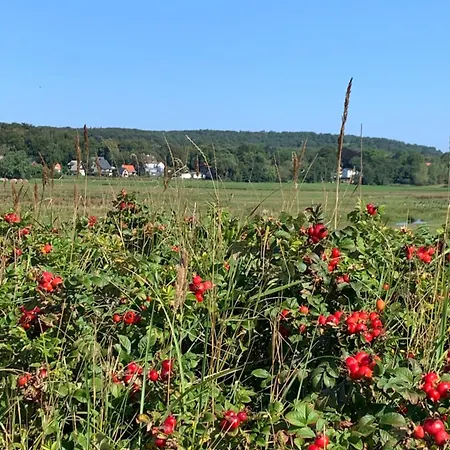 Pilars Fischwerk Kloster