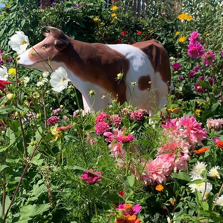 Appartement Pilars Fischwerk *