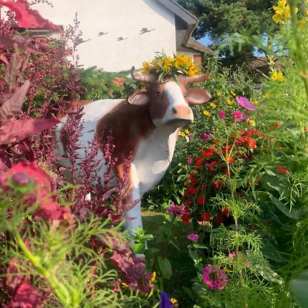 Appartement Pilars Fischwerk *